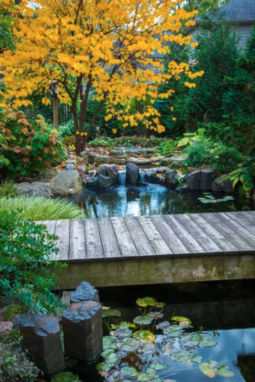Fall Pond Prep